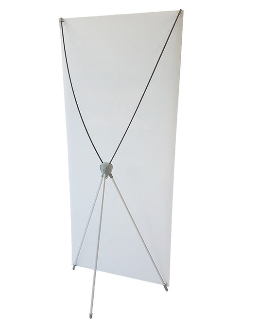 DS-X Frame