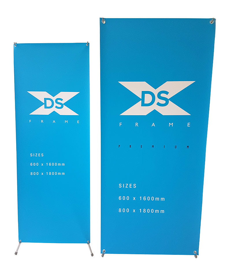 DS-X Frame
