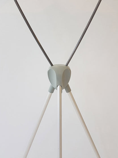 DS-X Frame
