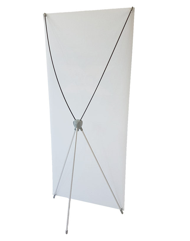 DS-X Frame