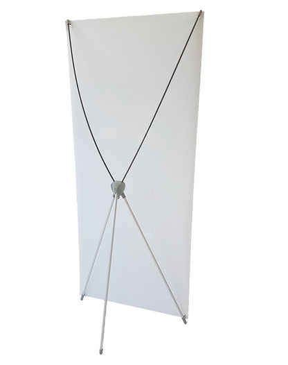 DS-X Frame